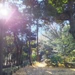「幸せになる力のヒミツ、それは筋トレ。」森と魂のセラピスト 飯田みゆきコラム No.10
