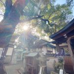 【祈り】アラハバキ神を求めて! 会いに行ったのは道ひらきの猿田彦大神! 猿田彦神社・京都