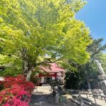 【祈り】地球の声を聴く! 超大陸・ゴンドワナ ヤミにはヒカリ それで完成パワフルスポット🌟 坂東三十三観音霊場 八溝山(日輪寺)・茨城