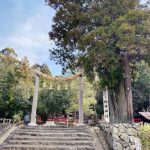 【祈り】フォースとともにあれ! 龍神に導かれ、日本最古の道 山の辺の道でライトワーク✨ 大神神社〜狭井神社〜貴船社〜八大龍王辨財天〜桧原神社・奈良県