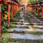 ライトワーク🌟 夢うつつの一日! 鞍馬山のあとは、貴船に鎮まる龍神に水の氣をいただく! 貴船神社・京都